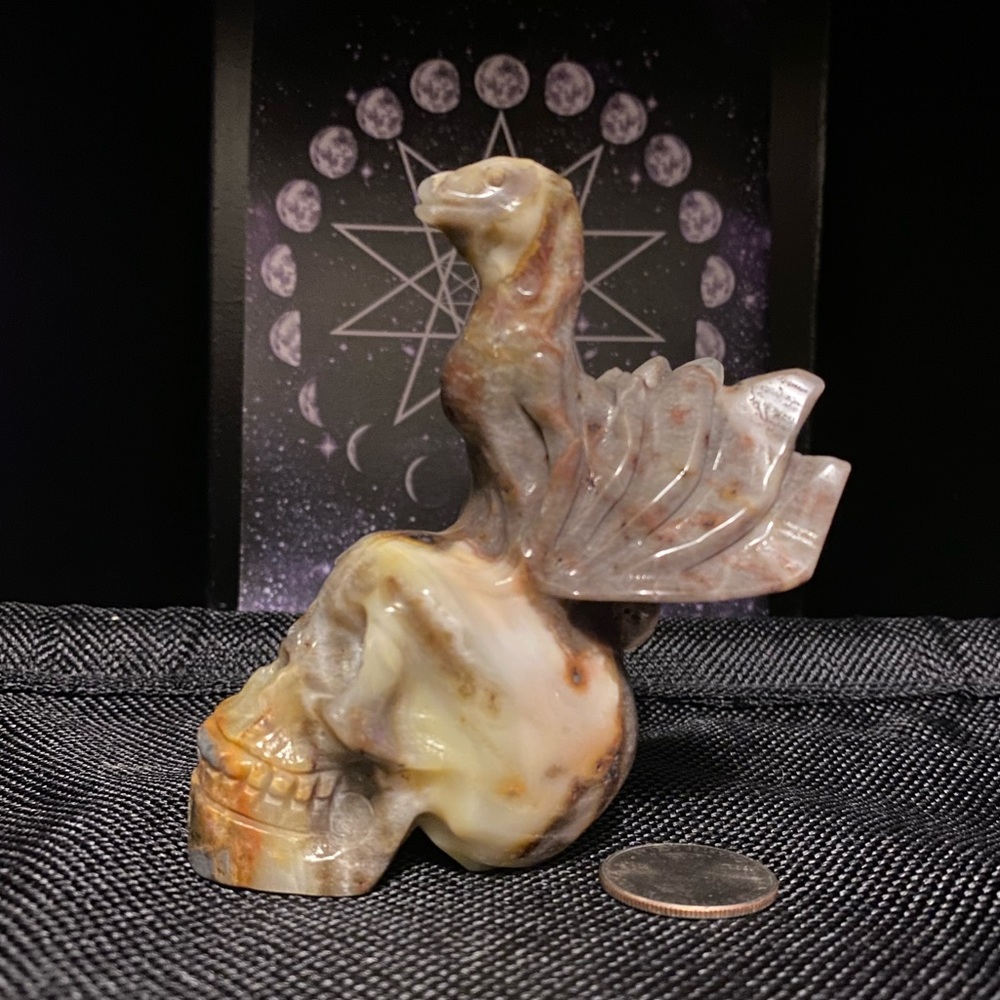 ❤️Chocolate Calcite Winged Dragon Skull